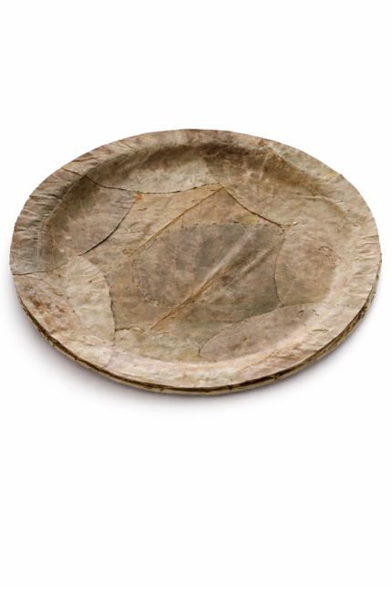 Saal Leaf Plates Pressed (100 Pieces)