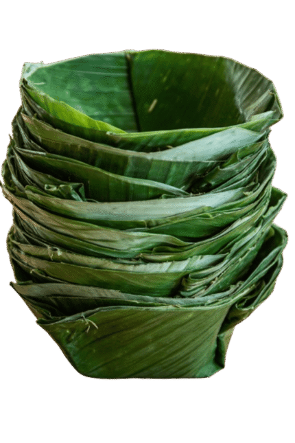 Saal Leaf Bowl (100 Pieces)