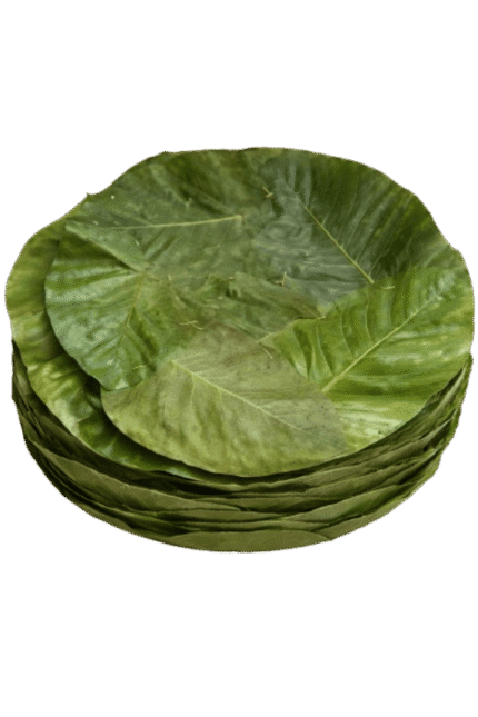 Saal Leaf Plates(100 Plates)