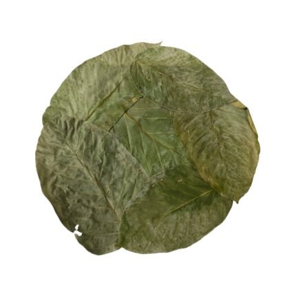 Dry Sal Leaf Plate (50 Plates)